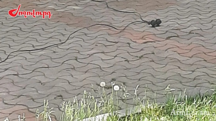 Снимок веб-страницы_4-5-2022_115714_armlur.am