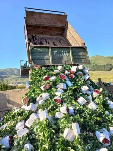 289024991_594950212047856_6023570221940402861_n-450x600