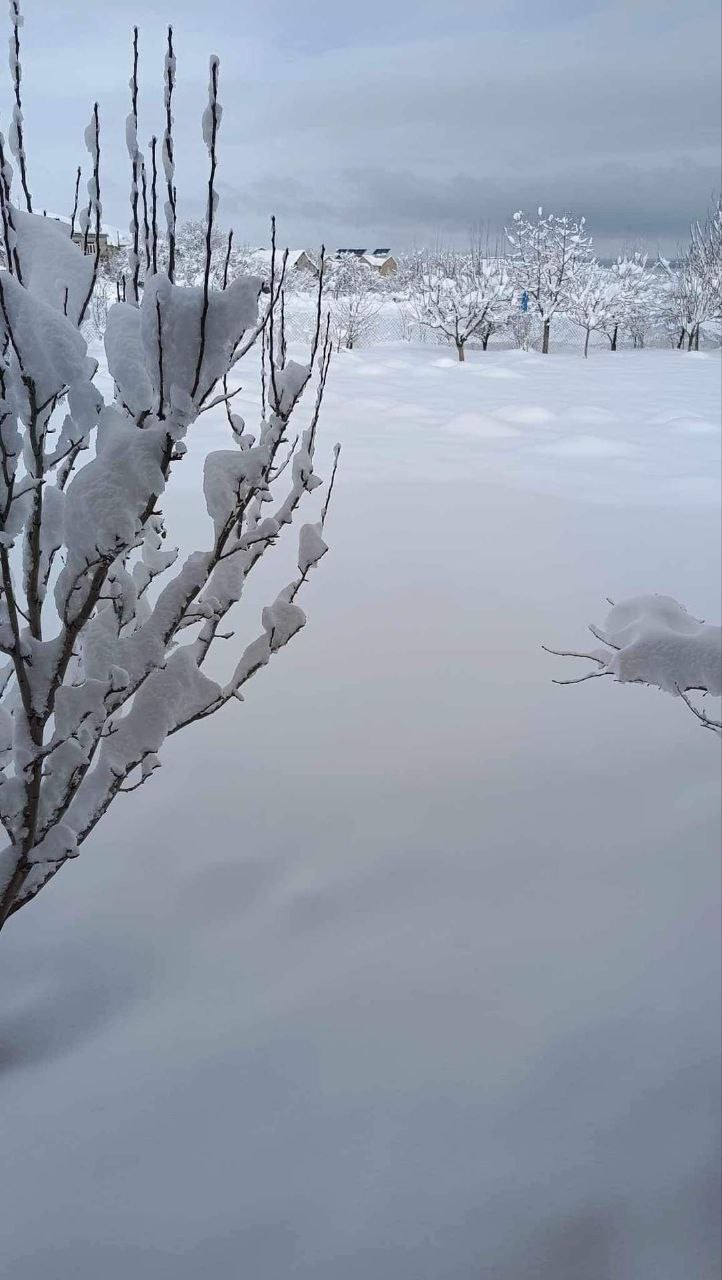 photo_5465669849704420581_y