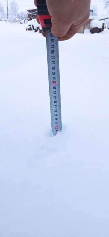 photo_5465669849704420582_x