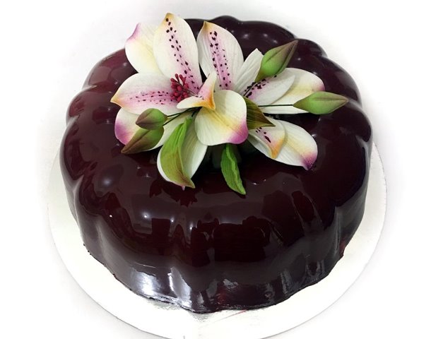 67348503_744673892654040_8082392392461713408_n