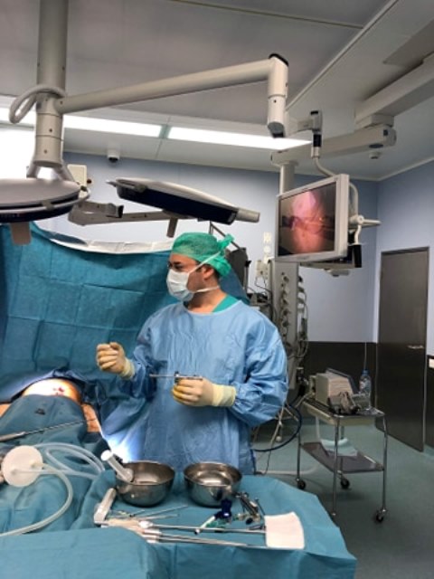 104308896_1562044017296615_5690724764139619512_n