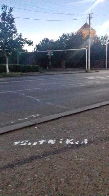 62134238_2311318615793604_5666583965473964032_n