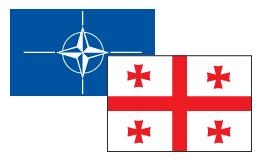 Давида Смита: «Вопрос вступления Грузии в НАТО Москвы не касается»
