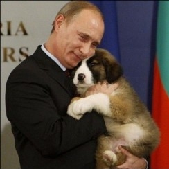 Новую собаку Путина назвали Баффи