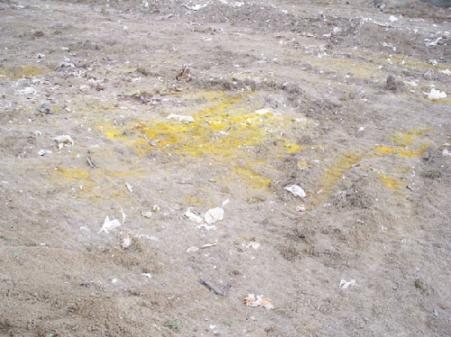 Բնապահպան. «Նուբարաշենի թունաքիմիկատների գերեզմանոցի հարցը  շատ լուրջ  է»