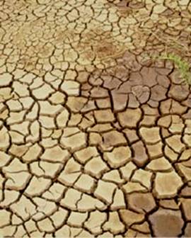 ԿԲ նախկին նախագահ. «1991 թ.–ից հետո գյուղատնտեսությունը մատնվեց մոռացության»