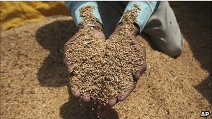 Через 20 лет продукты питания подорожают вдвое - «Oxfam»