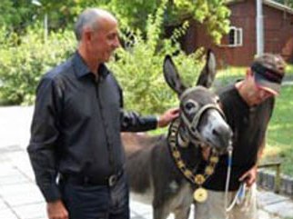 Բուլղարիայում  էշը դարձել է քաղաքապետի թեկնածու