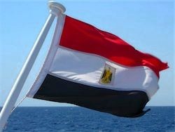Военный совет Египта не принял отставку вице-премьера
