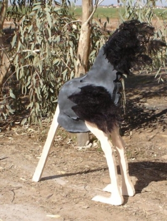 Ջայլամը՝ նախագահականի խորհրդանիշ