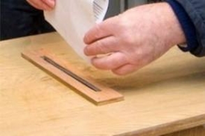 РПА поддержит в мажоритарных округах  33 кандидата