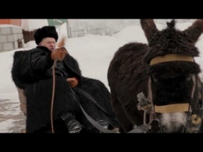 Жириновский избежал суда за издевательство над ослом