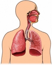 24 марта - Международный День борьбы с туберкулёзом