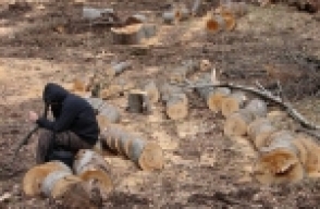 Հաշվարկվել է 1.42 մլն դր. ընդհանուր գումարի շրջակա միջավայրին հասցված վնաս