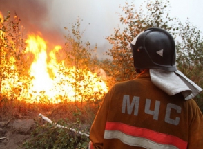 Лесные пожары в Сибири набирают новую силу