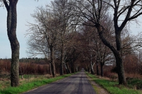 Հանրապետության տարածքում փակ ավտոճանապարհներ չկան