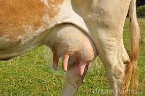 ՀԱԿ թեկնածու. «Տիգրան Սարգսյանն այդպես էլ՝ կրծքերն իր ձեռքում, վերադարձավ Երևան»