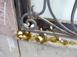 Ադրբեջանական փառատոնի դեմ բողոքող կինը տուգանվել է 40 հազար դրամով