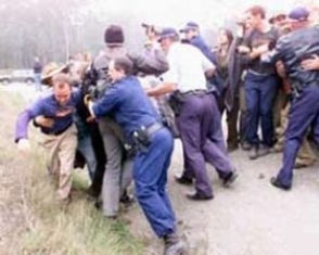 В Дагестане на празднике подрались 500 человек