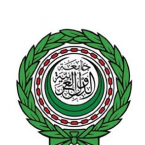 Повторение в Сирии «ливийского сценария» нежелательно – ЛАГ