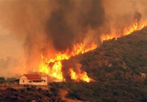 Հրշեջ ծառայությունում աշխատնքի չընդունվելու պատճառով հունաստանցին այրել է անտառը