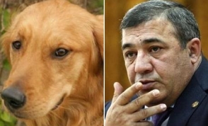 Собака Симба и Немец Рубо