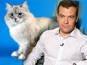 Медведев подарит бывшему президенту Финляндии котенка