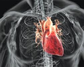 Բժիշկները վերականգնել են 80 րոպե կանգնած սրտի աշխատանքը