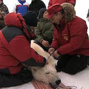 Владимир Путин намерен посетить Антарктиду