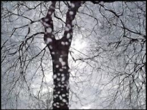 Температура воздуха понизится