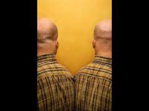 Французская полиция не может решить, кто из близнецов является насильником