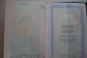 Печати в паспортах можно вывести, протерев влажной салфеткой (видео)