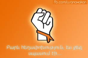 История одной объявленной революции