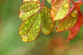 Температура воздуха резко понизится