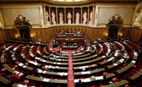 Сенат Франции разрешил однополые браки