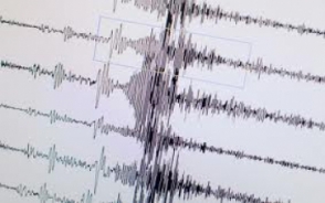 Իրանում տեղի ունեցած երկրաշարժը զգացվել է ՀՀ մի շարք բնակավայրերում