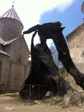 Հաղարծինի հոգևոր սպասավորն այրված ընկուզենու մասին. «Ի՞նչ իմանամ»