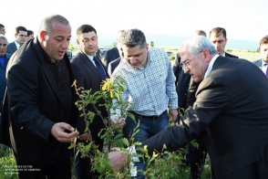 Жителей 46 пострадавших от града общин освободят от налога на землю