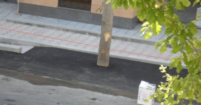«SOS. Սարյան փողոցում ասֆալտապատողները խեղդում են ծառերը»
