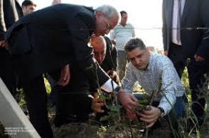 Արմավիրցի. «Ֆերմերը կորցրել էր 4-6 հազ. դոլարի եկամուտ, ստացել է 16 հազ. դրամի օգնություն»