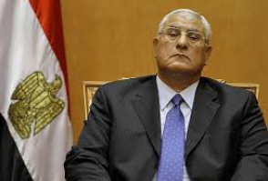 Адли Мансур стал временным руководителем Египта