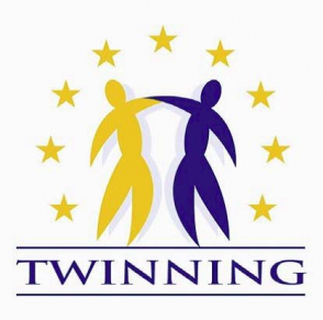 Программа «Twinning» не прекращена, но будет пересмотрена