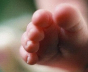 Под Москвой в мусоре нашли тела 5 младенцев