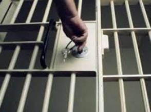 В Армении по амнистии освобождены уже 586 человек