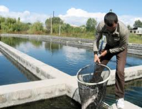 108 մլն դրամ ապօրինի շահագործվող հորերի լուծարման համար