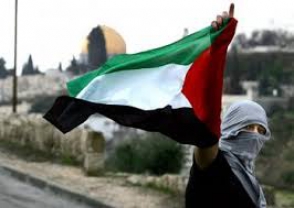 ООН провозгласила 2014 год Международным годом солидарности с палестинским народом