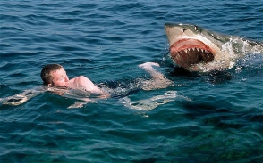 Житель Австралии стал жертвой нападения акулы