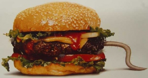 Чилийский «McDonald"s» выплатит штраф за крысиный хвост в гамбургере