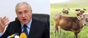 Սերգո Կարապետյան. «Մարդկանց մոտ էլ է լինում, որ չեն հղիանում»